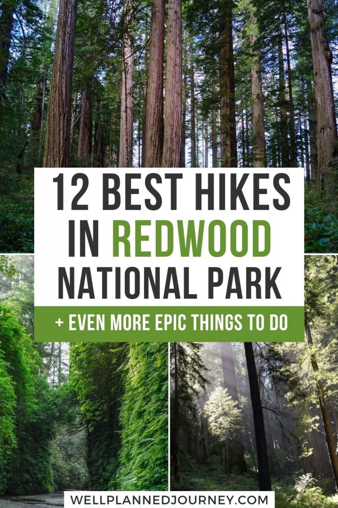 Best Hikes in Redwood National Park pinterest pin