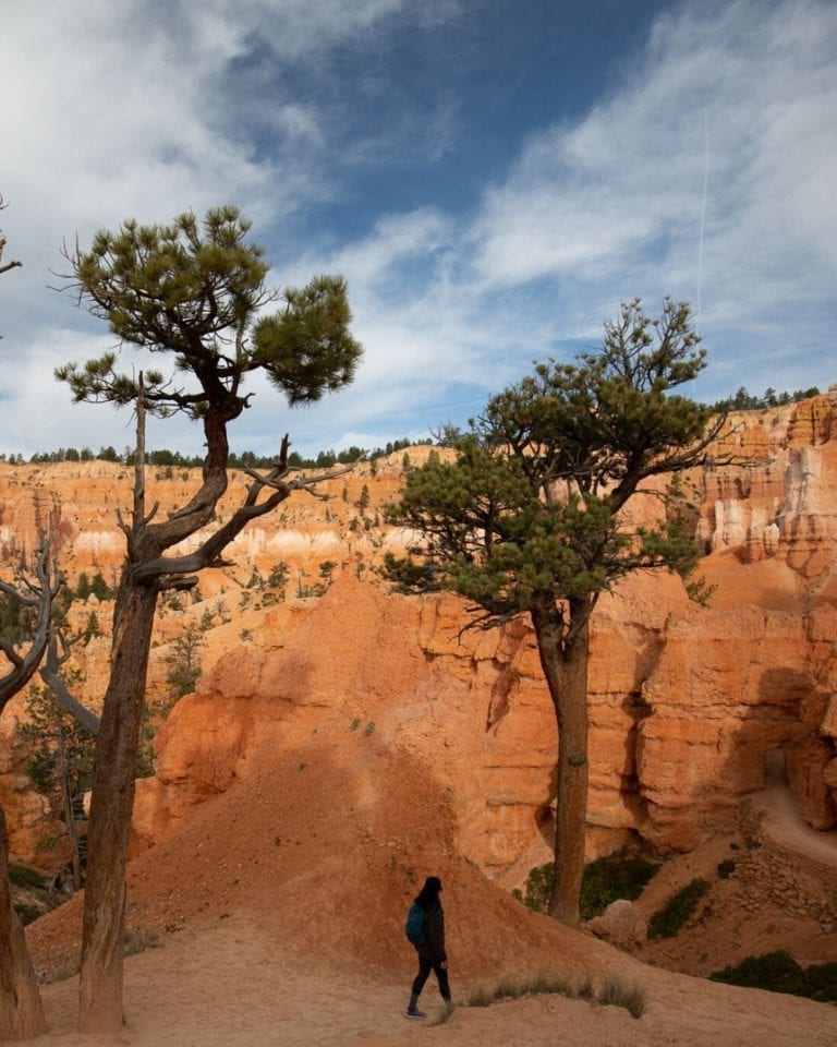 Hiking in the amphitheater of Bryce Canyon on the Queen's Garden Trail