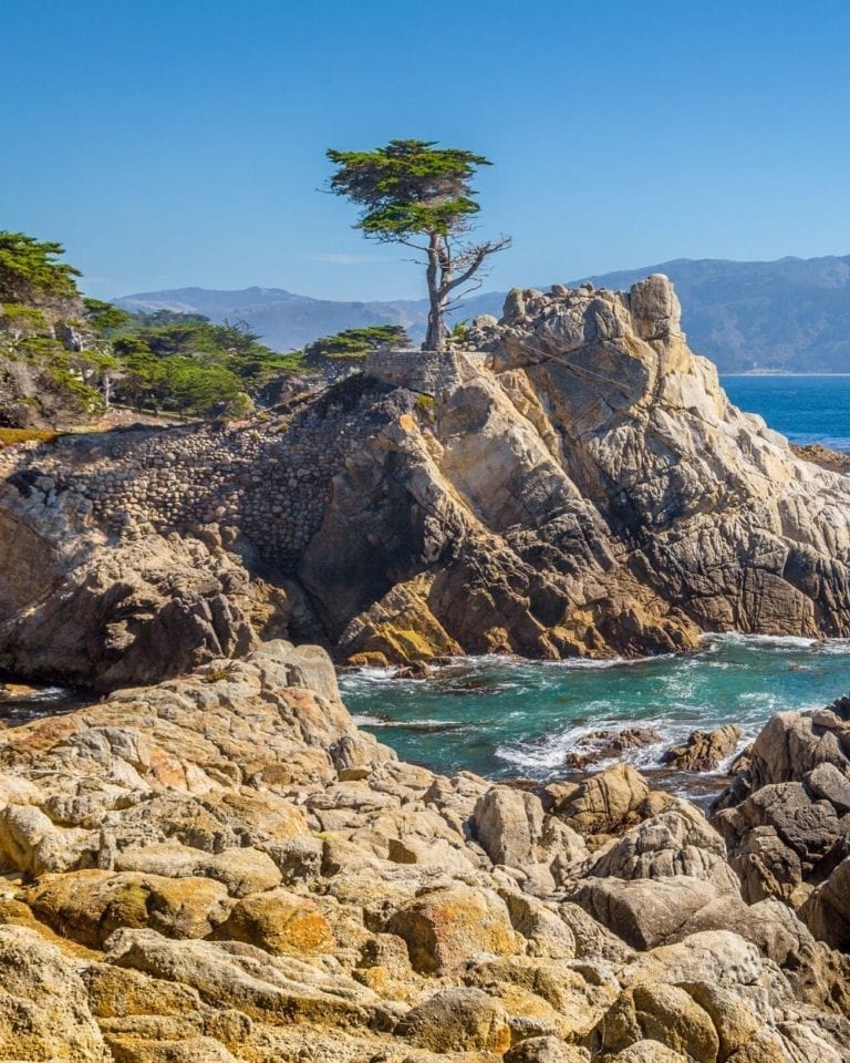 The famous Lone Cypress stands alone on a rock on the Pacific Ocean along 17 Mile Drive