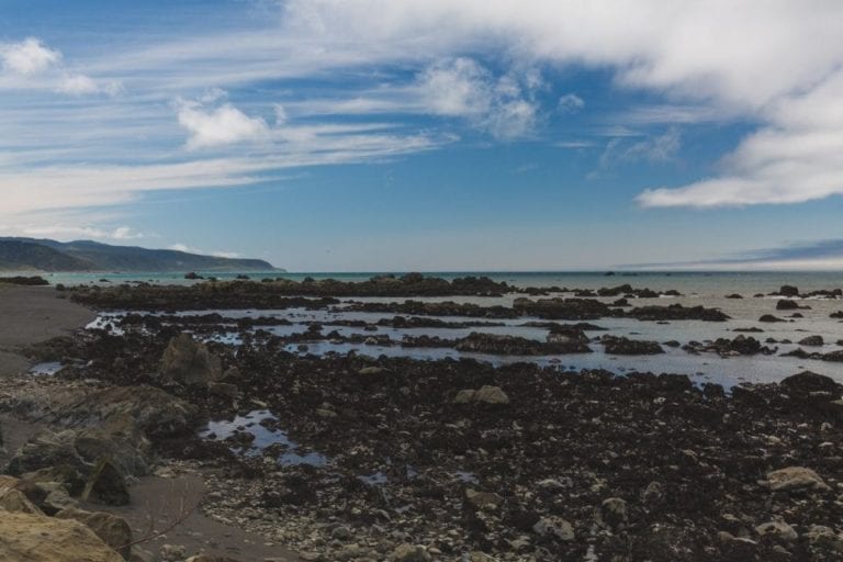 Black sand and a rocky shoreline at Black Sands Beach near Shelter Cove, CA