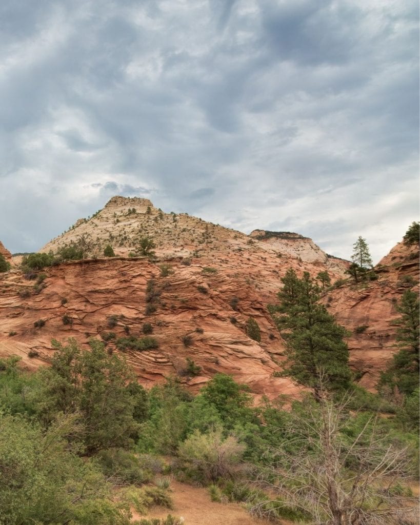 Orange canyon towers along the East Mesa Trail in Zion National Park