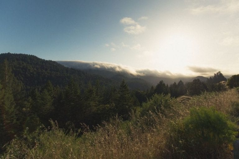 Coastal fog rolls in along grassy hills on Mattole Road in the Lost Coast