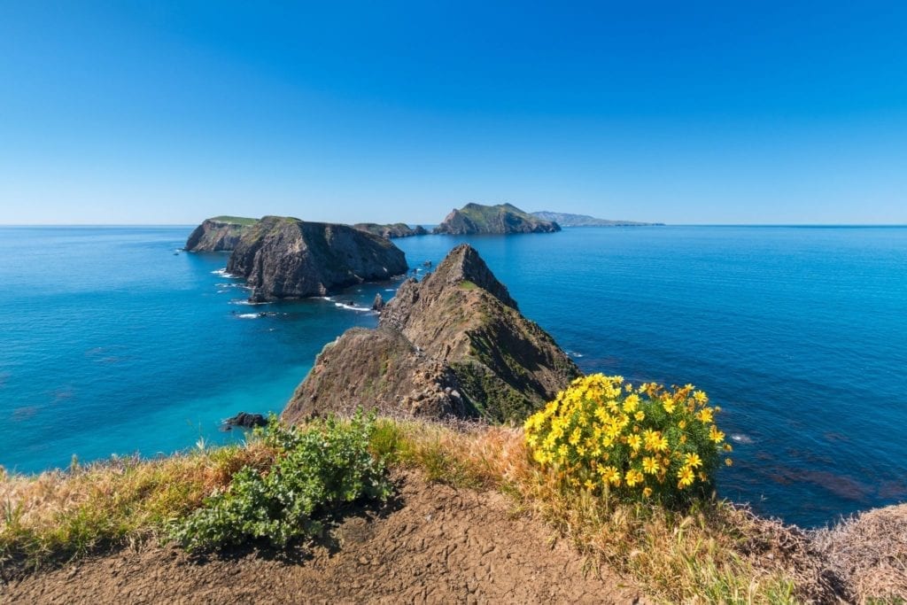 A string of islands with yellow wildflowers growing near the viewpoint on Channel Islands National Park in California