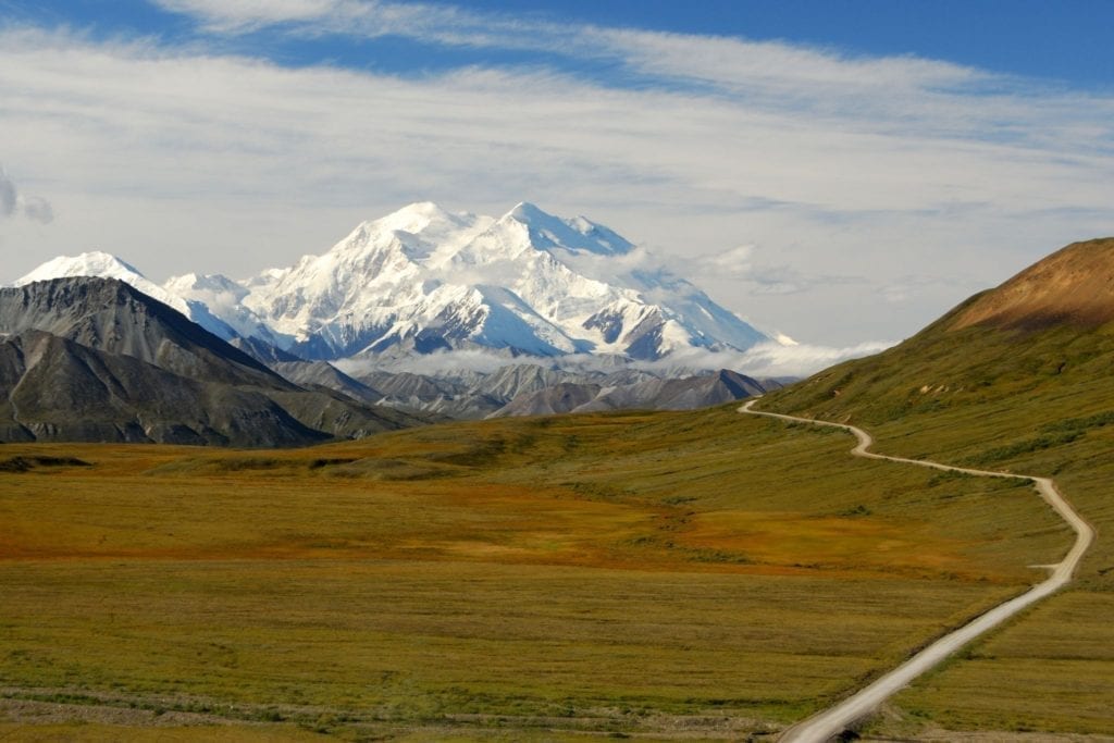 Mount Denali looms in the distance across a grassy valley in Denali National Park