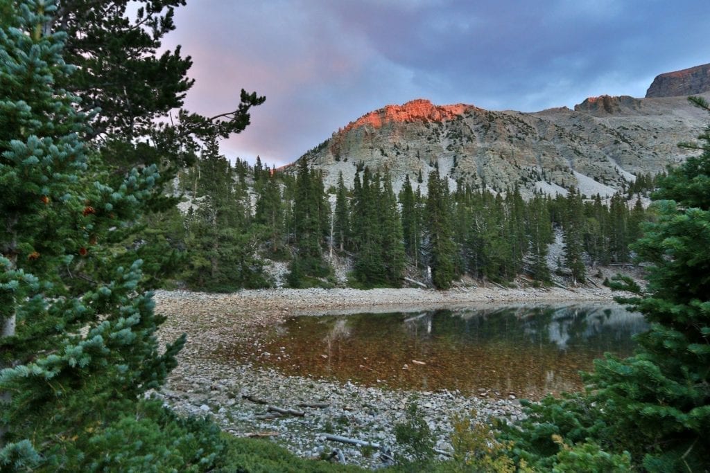 Bristlecone pine trees surround an alpine lake at sunset in Great Basin National Park in Nevada