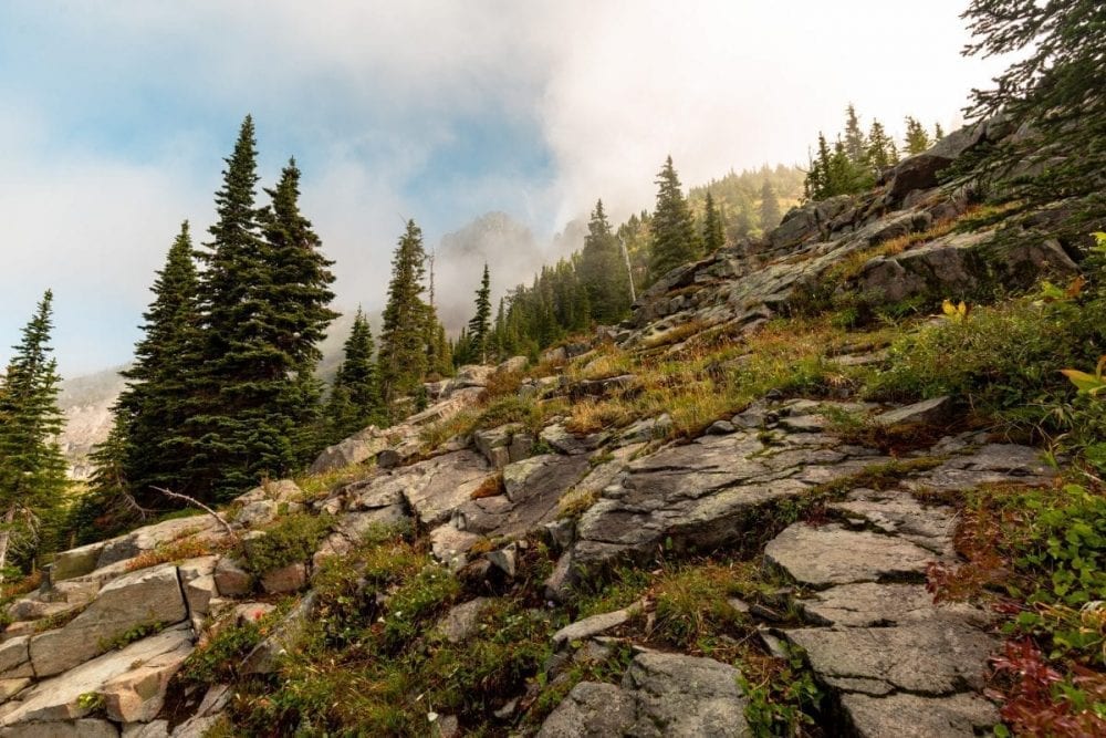 Fog hands low above a rocky trail and pine trees in Glacier National Park.