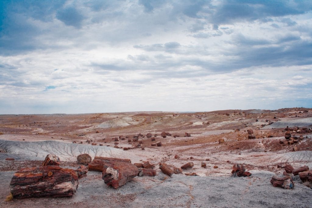 Petrified wood is scattered across a barren desert landscape in Petrified Forest National Park in Arizona