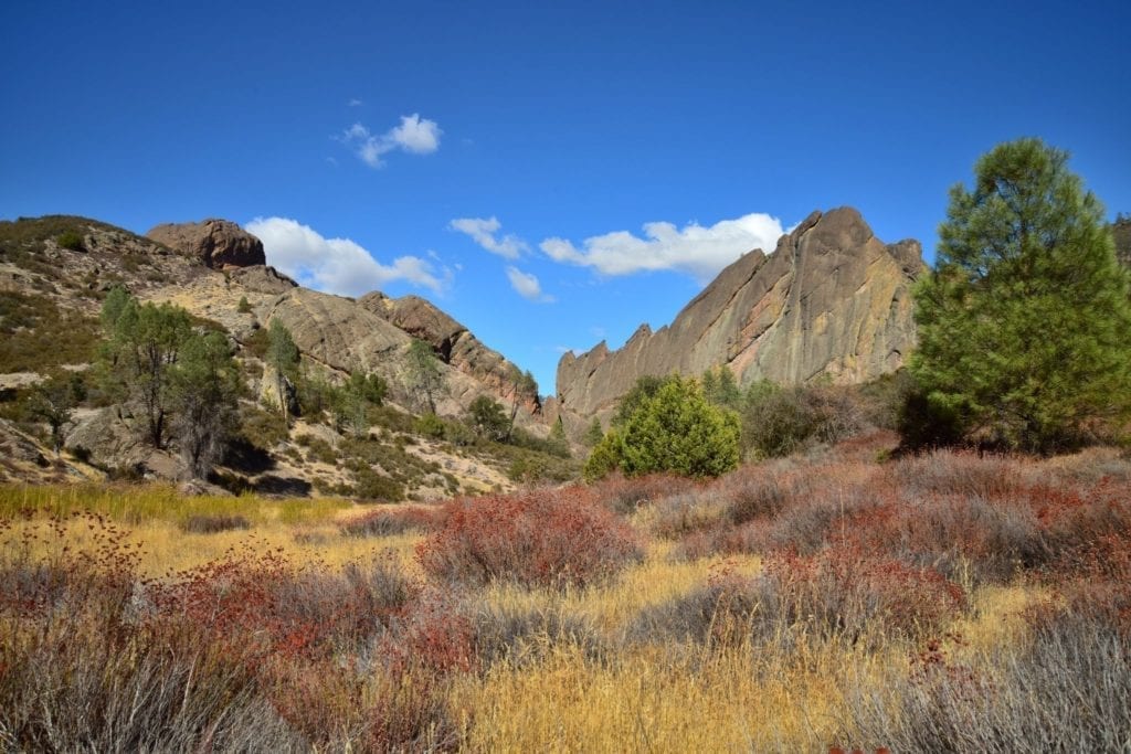 A colorful prairie of tall, dry grass sits between two small mountains in Pinnacles National Park in California