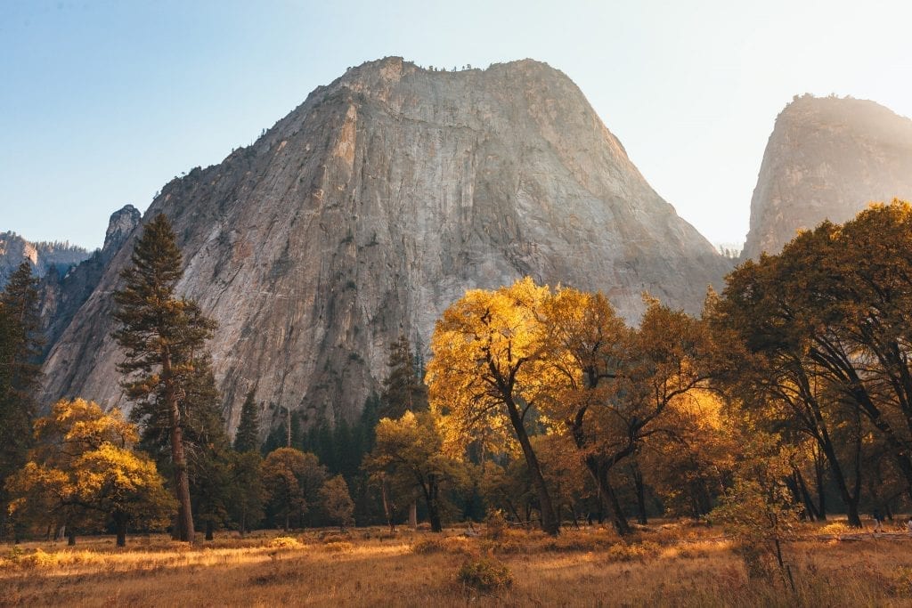 Fall colors in Cooks Meadow in Yosemite National Park