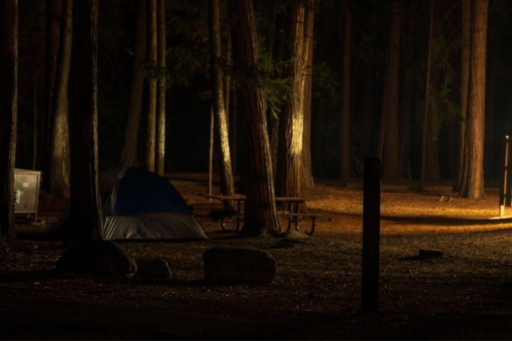 A single tent in a dark campsite in Yosemite Valley