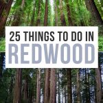 Best Things to Do at Redwood National Park Pinterest Pin