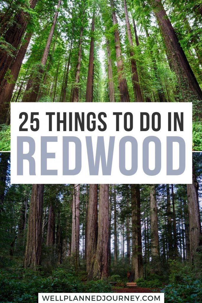 Best Things to Do at Redwood National Park Pinterest Pin