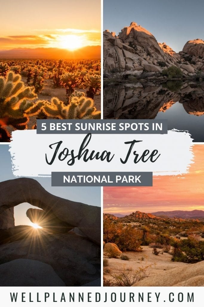 Pinterest pin for best Joshua Tree sunrise spots