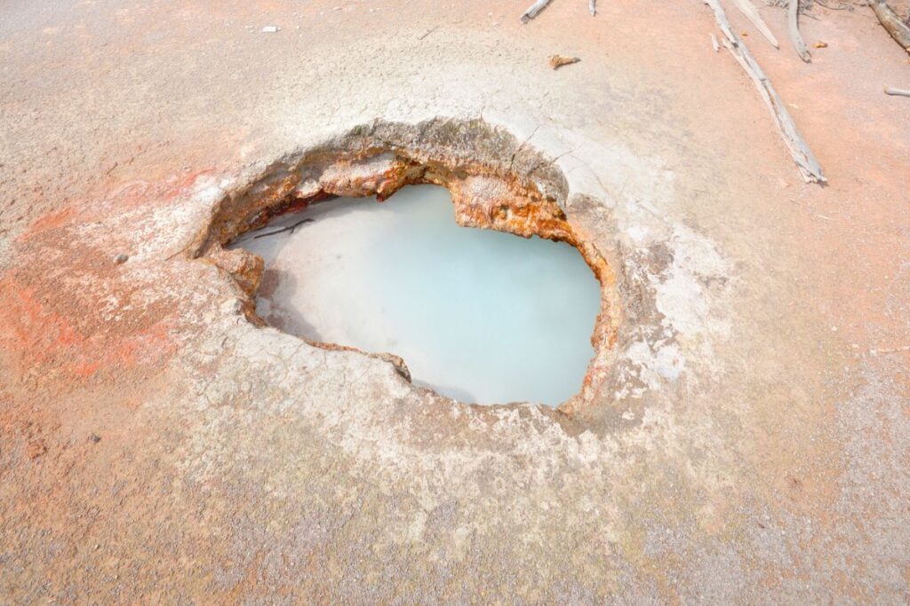 Mud pot along the Artist Paint Pots Trail in Yellowstone