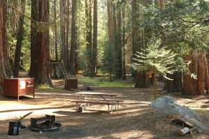 Campsite in Atwell Mill Campground in Sequoia National Park