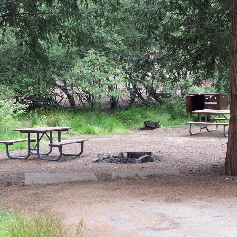 Azalea Campground in Kings Canyon National Park