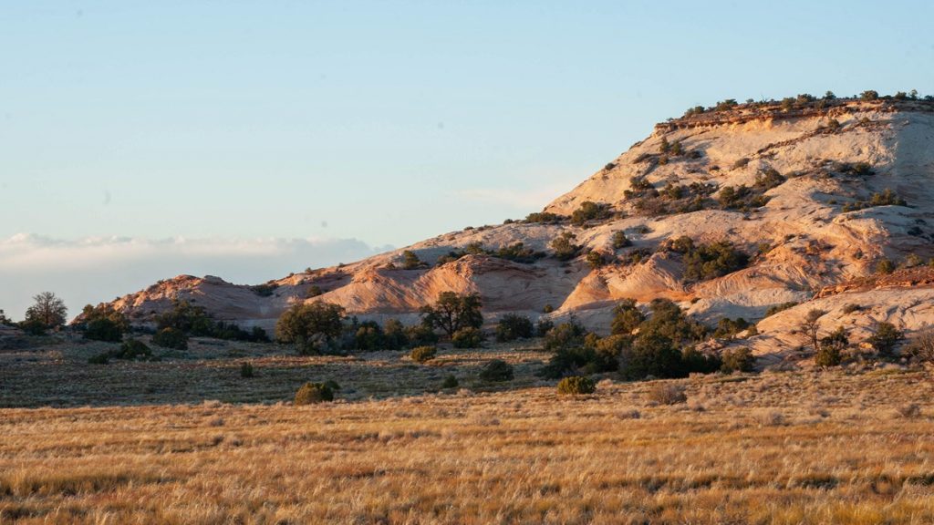 Sunset over a grassy field with rocks in the distance at Aztec Butte in Canyonlands