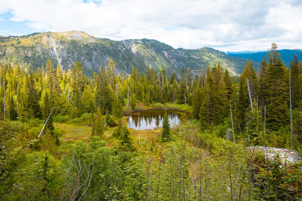 Bench Lake in Mount Rainier National Park