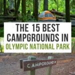 Best Campgrounds in Olympic National Park Pinterest Pin