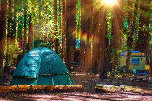 tent set up in the forest for the best camping in kings canyon national park