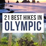 Olympic National Park hikes Pinterest Pin