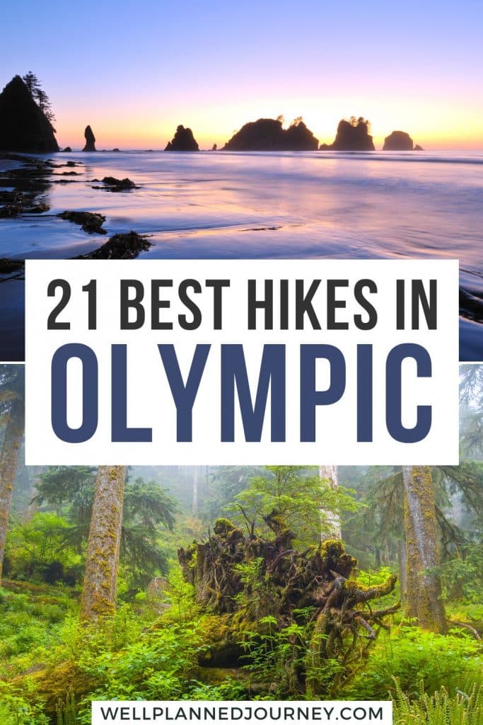 Olympic National Park hikes Pinterest Pin