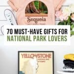 Best National Park Gifts Pinterest Pin