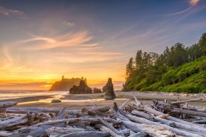 Beach in Olympic National Park, one of the best Washington National Parks