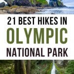 Olympic National Park hikes Pinterest Pin