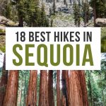 Best hikes in Sequoia National Park Pinterest pin