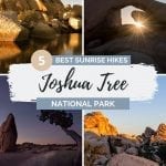 Pinterest pin for best Joshua Tree sunrise spots