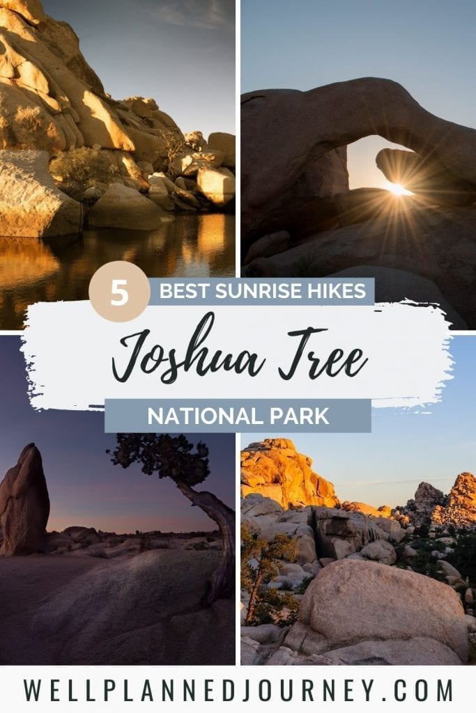 Pinterest pin for best Joshua Tree sunrise spots