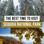 Best Time to Visit Sequoia National Park Pinterest Pin