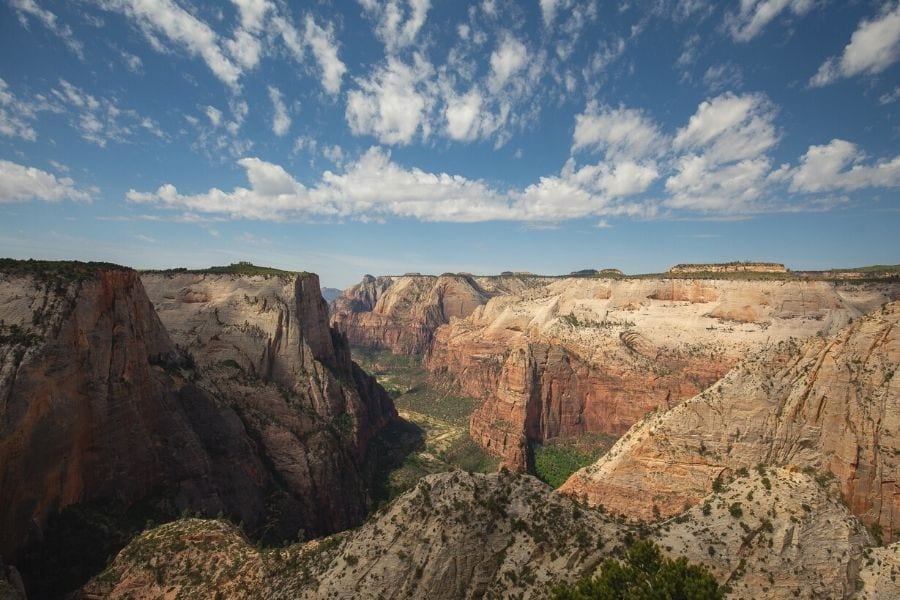 View of Zion Canyon in Spring: The Guide to the best time to visit Zion National Park