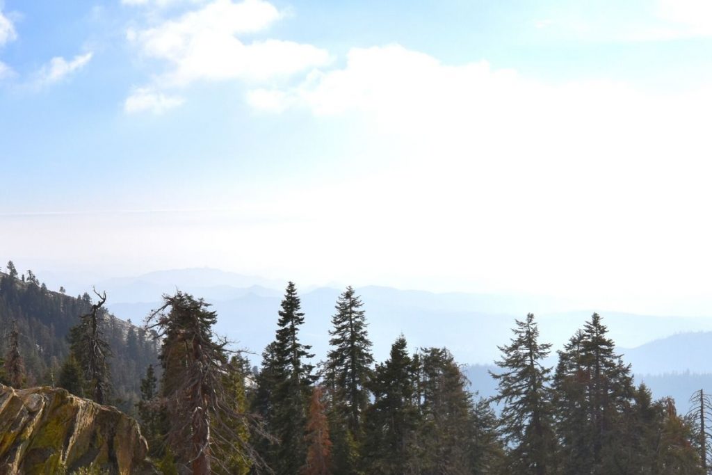 View from the top of Big Baldy hike in Sequoia National Park