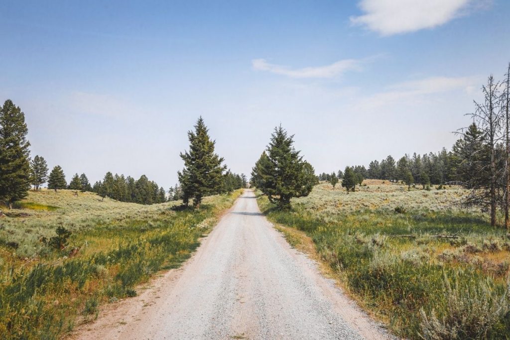 Long, unpaved road through a field in Yellowstone National Park