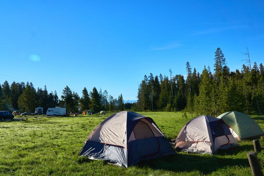 Tents at Bridge Bay Campground in Yellowstone