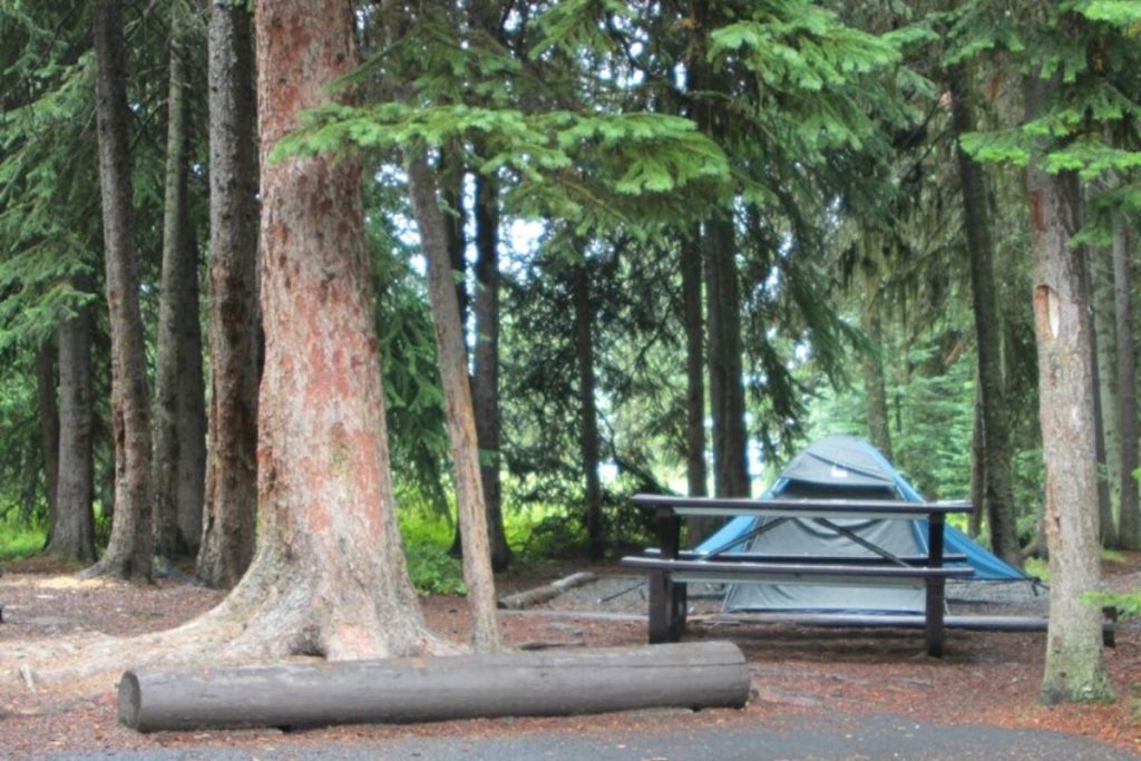 Tents at Bridge Bay Campground in Yellowstone