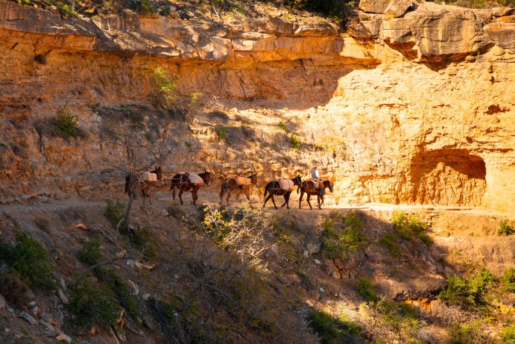 First Tunnel on Bright Angel Trail in Grand Canyon National Park South Rim