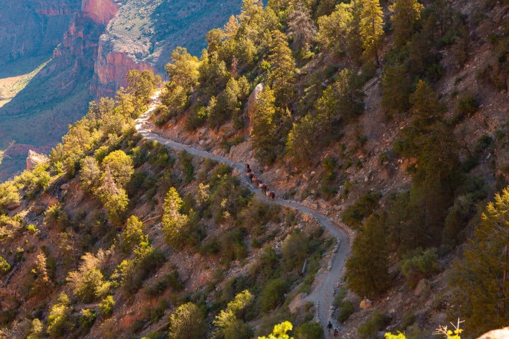 Bright Angel Trail in Grand Canyon National Park South Rim