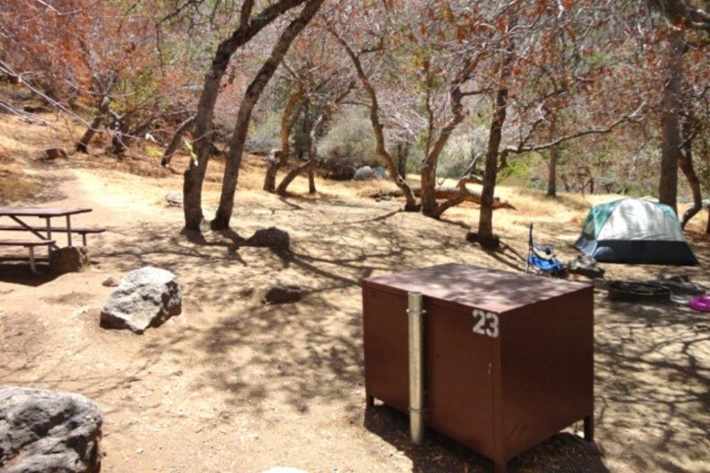 Campsite in Buckeye Flat Campground in Sequoia National Park