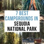 Best Camping in Sequoia National Park Pinterest Pin