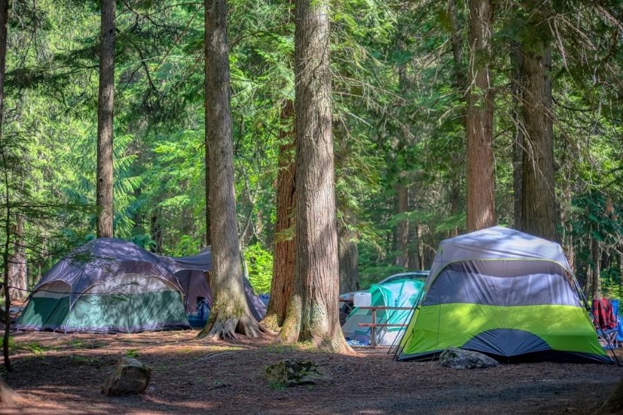 Tents in a campsite in Glacier National Park