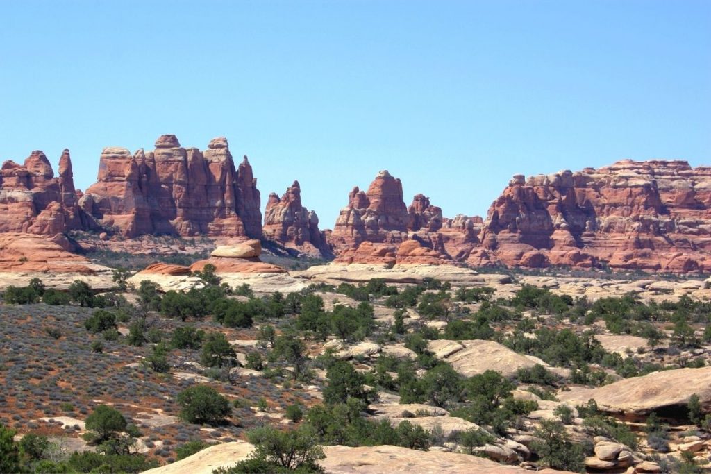 Rocky spires in the distance in the Needles district of Canyonlands