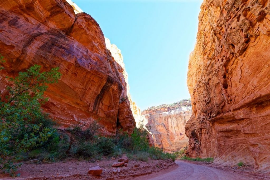 Wide slot canyon with sandy trail in Capitol Reef