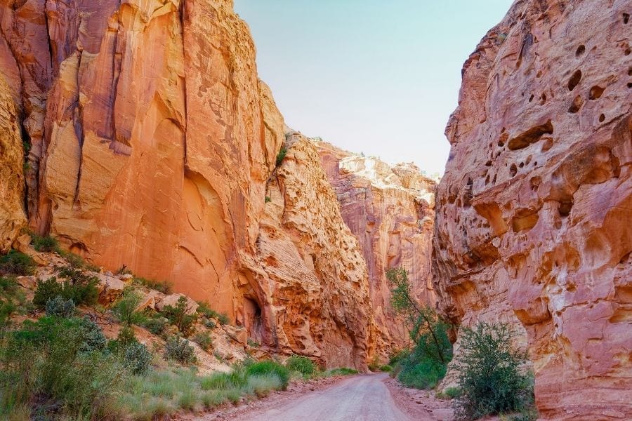 Capitol Gorge Trail in Capitol Reef National Park