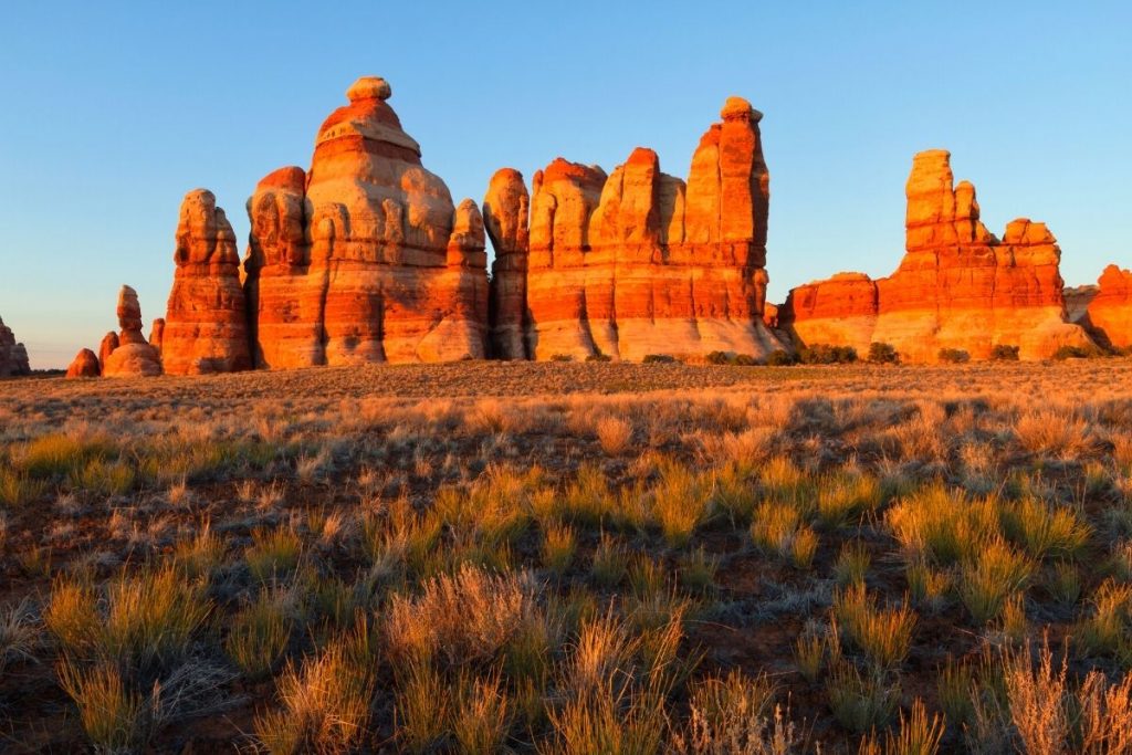 Sunset illuminates rocky spires in the distance on the Chesler Park Loop in Canyonlands