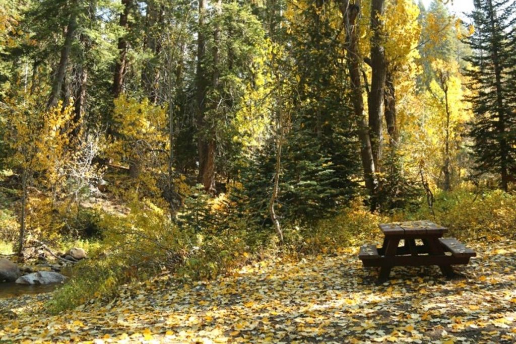 Campsite at Cold Springs Campground in Sequoia National Park