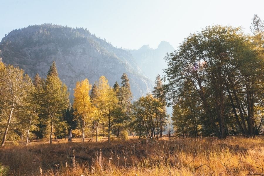 Cooks Meadow in Yosemite National Park