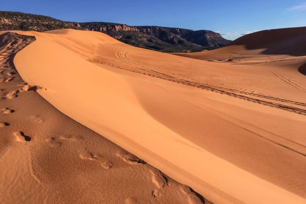 Dunes at Coral Pink Sand Dunes State Park